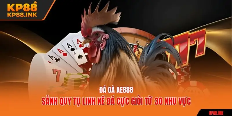 đá gà ae888