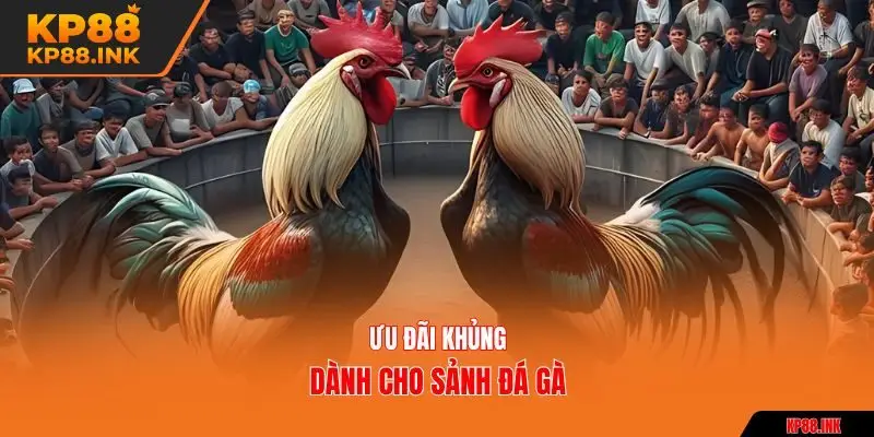 Ưu đãi khủng dành cho sảnh đá gà